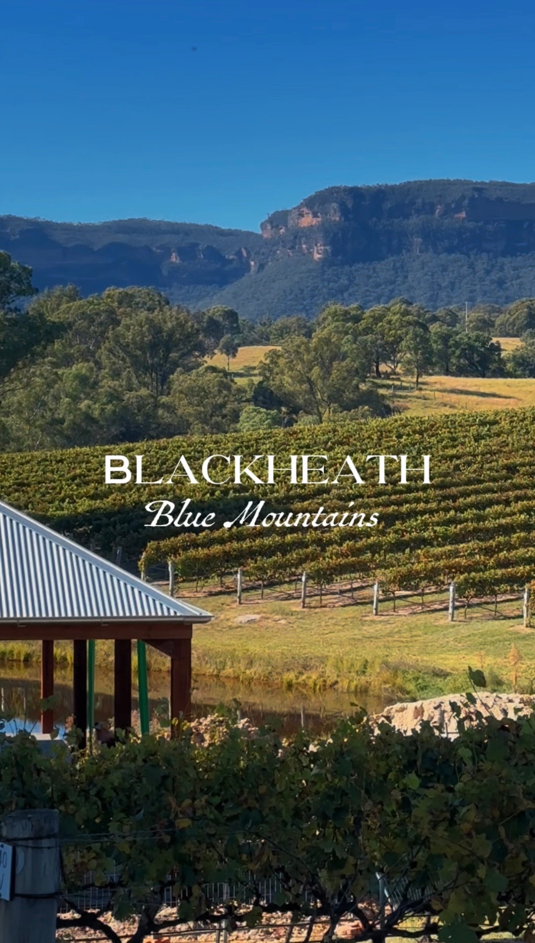 Blackheath, Blue Mountains.