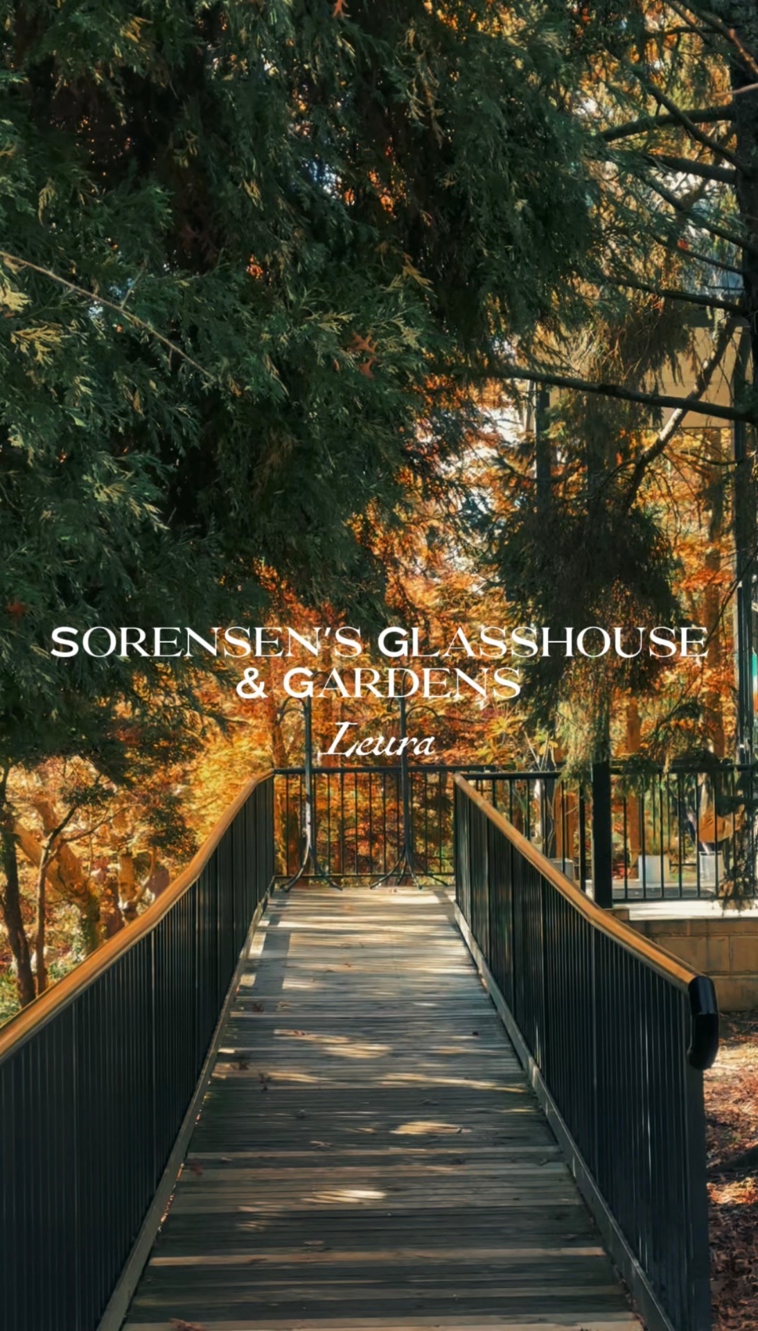 Sorensen's Glasshouse & Gardens, Leura.